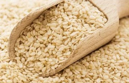 ORGANIC RAW SESAME SEEDS NATURAL