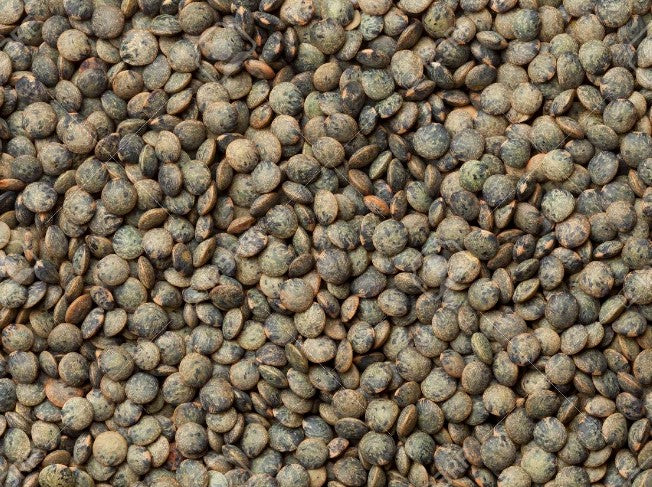 ORGANIC LENTILS, FRENCH GREEN